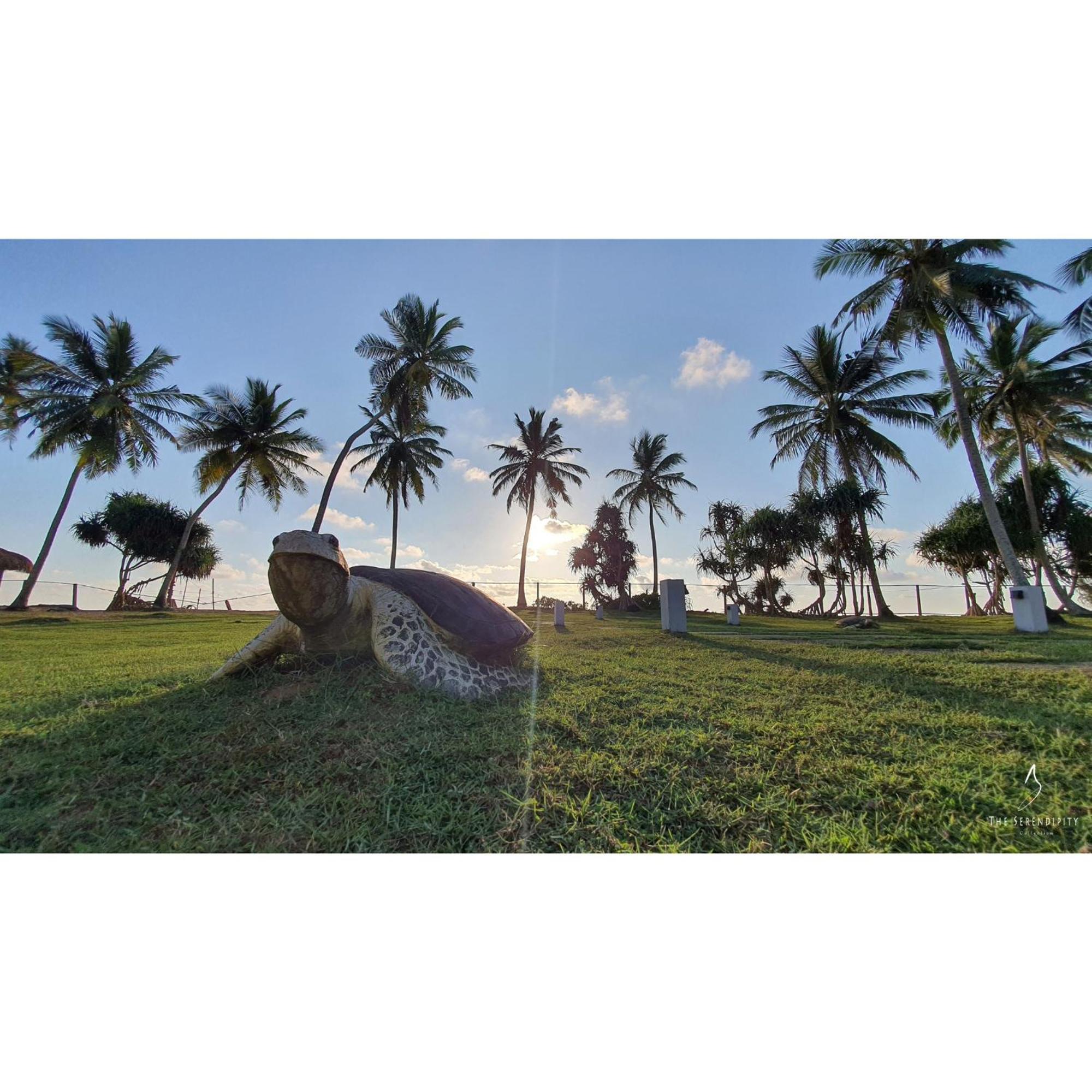 Green Turtle Villa By The Serendipity Collection Bentota Esterno foto